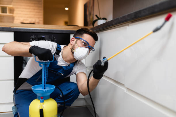 Best Mosquito Control Services  in Hernando, MS